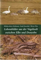 Lebensbilder aus der Vogelwelt zwischen Elbe und Drawehn
